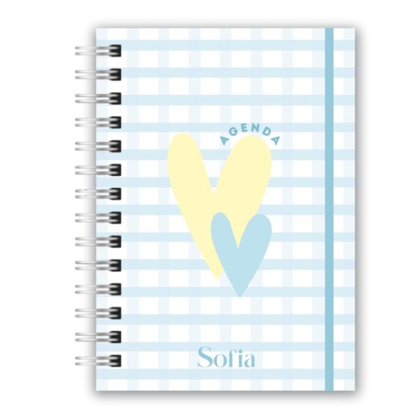 Agenda - Candy Color 14