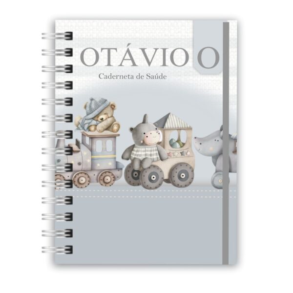 Caderneta de Saúde - Brinquedos