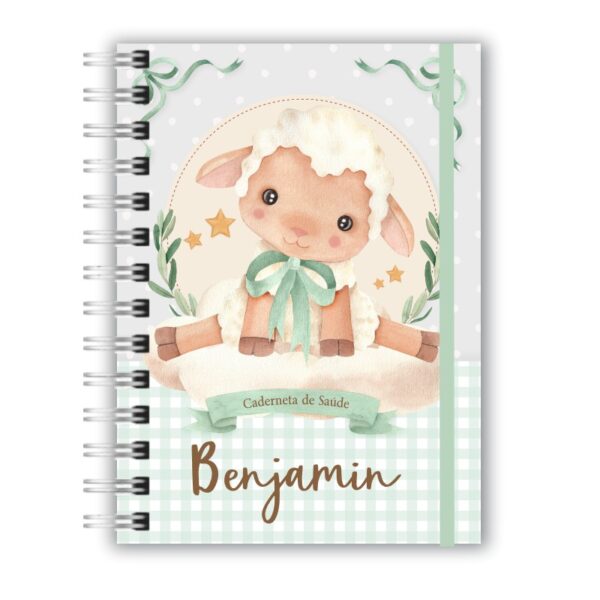 Caderneta de Saúde - Carneirinho