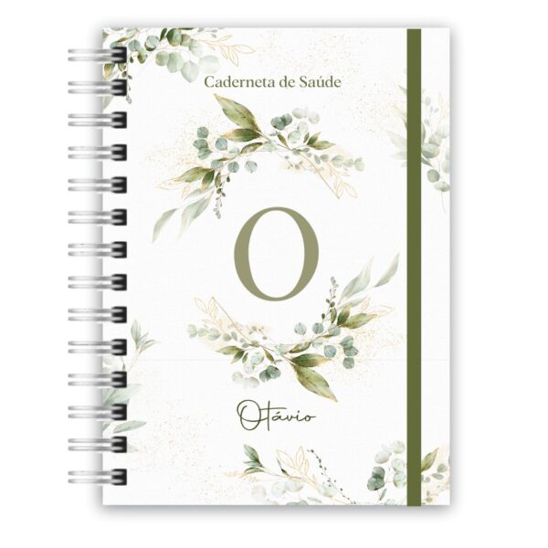 Caderneta de Saúde - Minimalista Menino