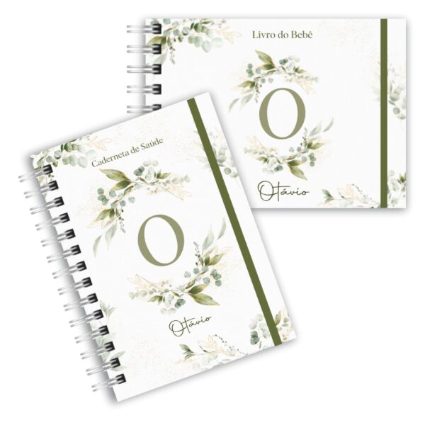 Caderneta de Saúde com Livro do Bebê - Minimalista Menino