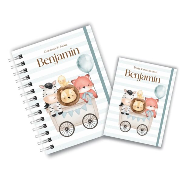 Caderneta de Saúde com Porta Documentos - Amiguinhos do Ben