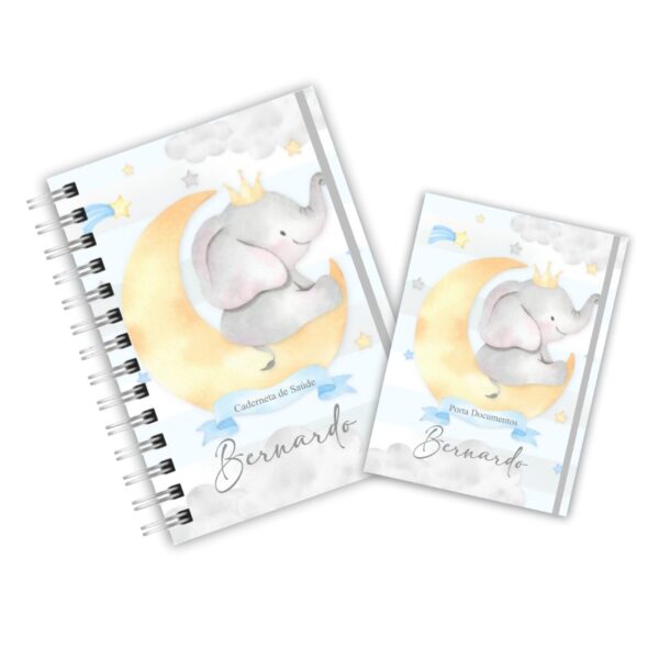 Caderneta de Saúde com Porta Documentos - Elefante Príncipe