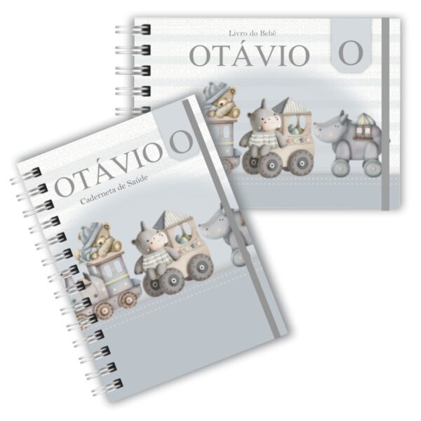 Caderneta de Saúde com Livro do Bebê - Brinquedos