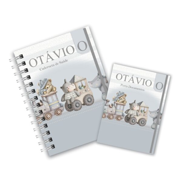 Caderneta de Saúde com Porta Documentos - Brinquedos