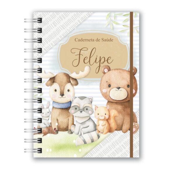 Caderneta de Saúde - Floresta Menino