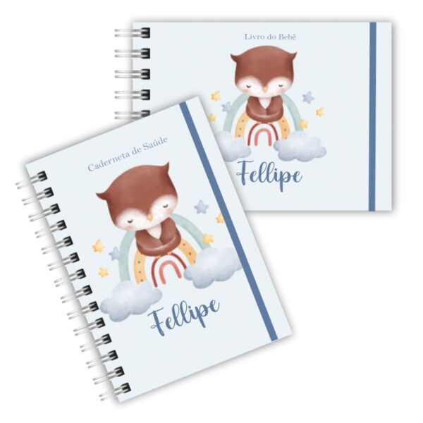 Caderneta de Saúde com Livro do Bebê - Corujinha Boy