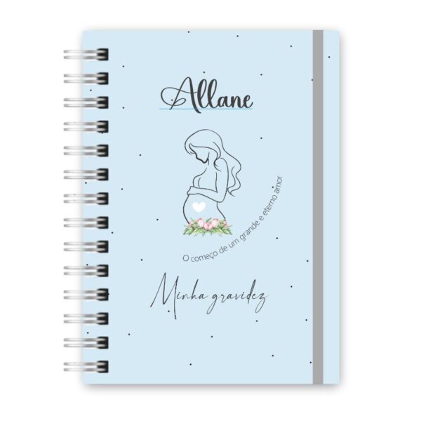 Caderneta da Gestante - Minha Gestação 1