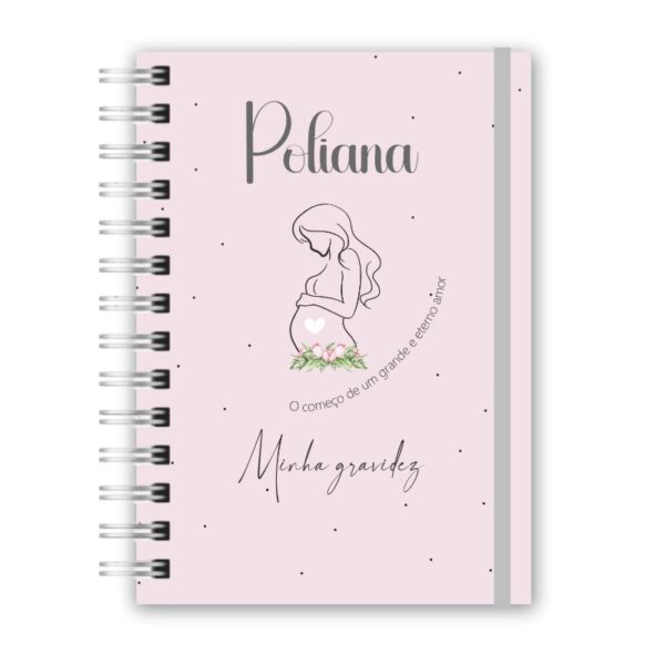 Caderneta da Gestante - Minha Gestação 2