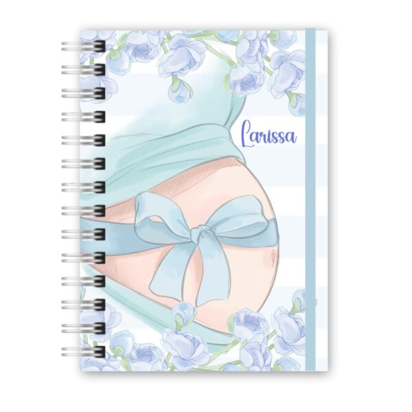 Caderneta da Gestante - Minha Gestação 6