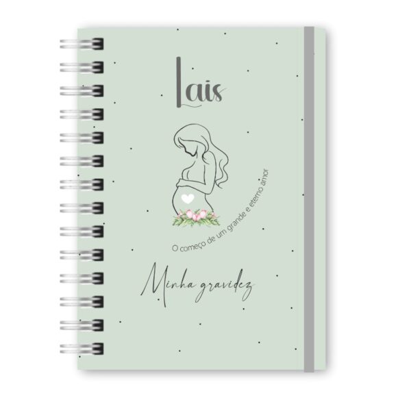 Caderneta da Gestante - Minha Gestação 4